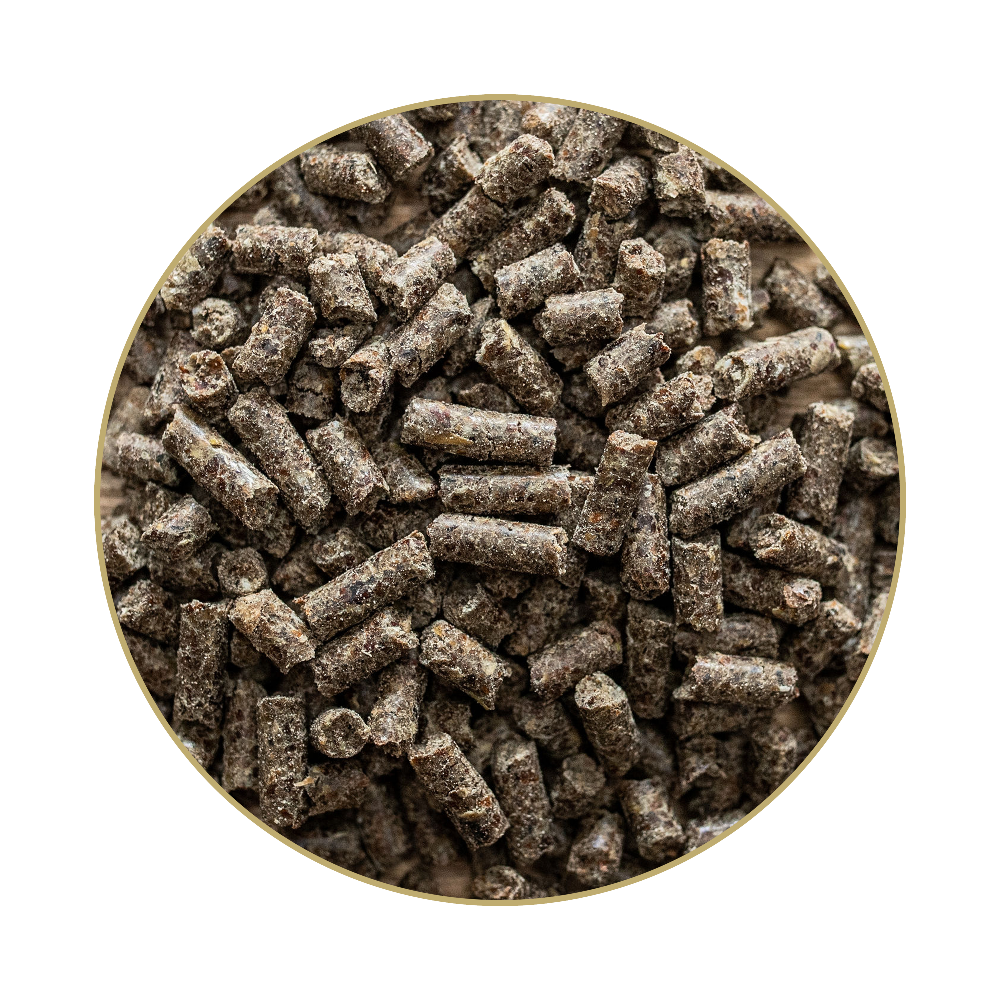 St. Hippolyt Hippomun forte 1 kg