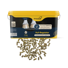 Marstall Huf-Regulator
