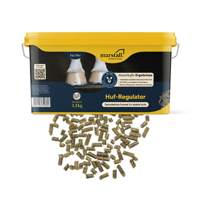 Marstall Huf-Regulator