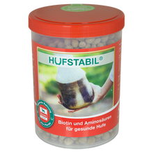 Salvana Hufstabil
