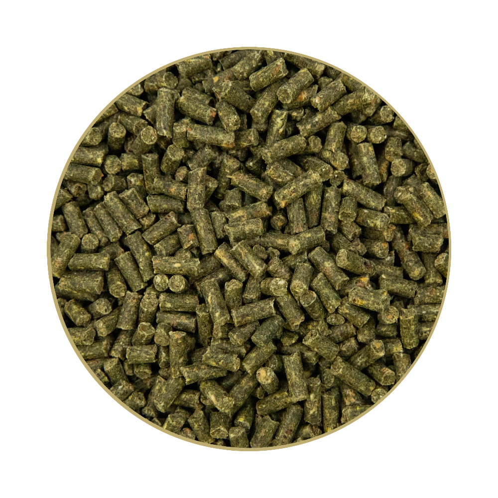 St. Hippolyt Kernkraft Muskel Plus 5 kg