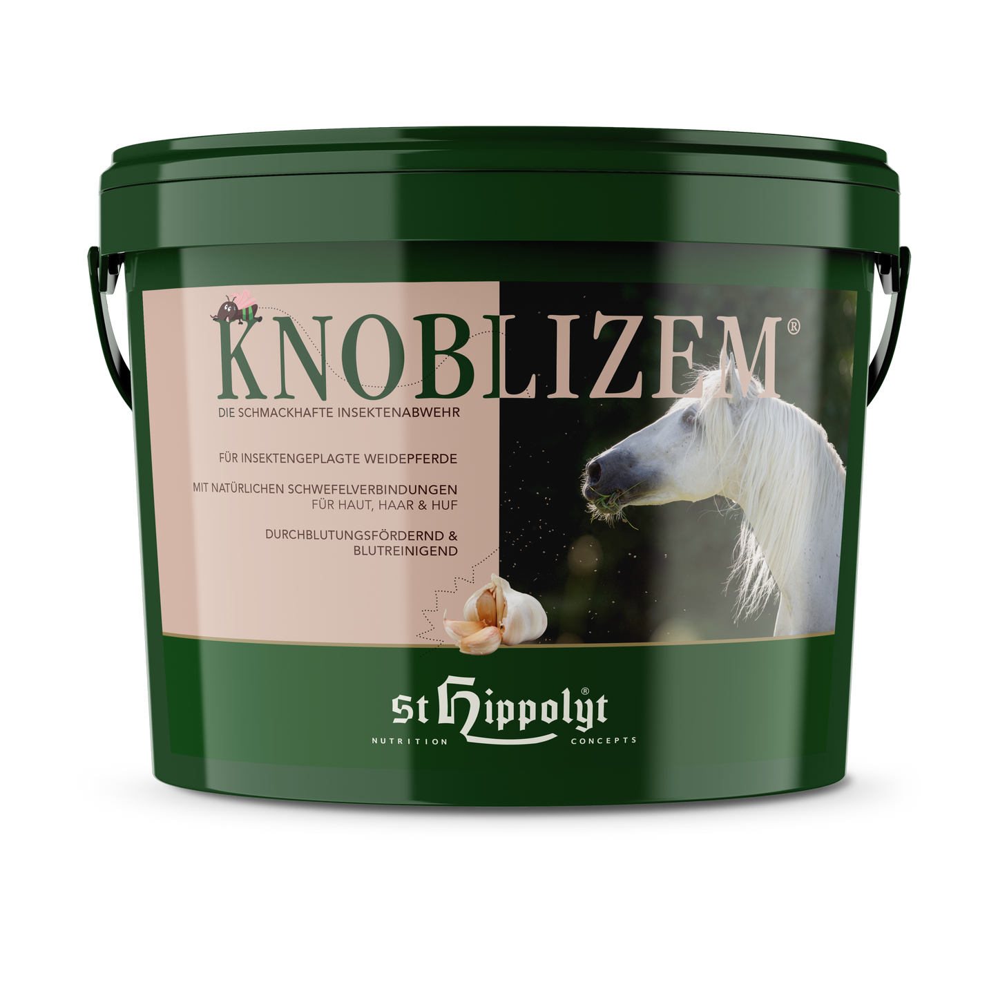 St. Hippolyt Knoblizem