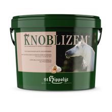 St. Hippolyt Knoblizem