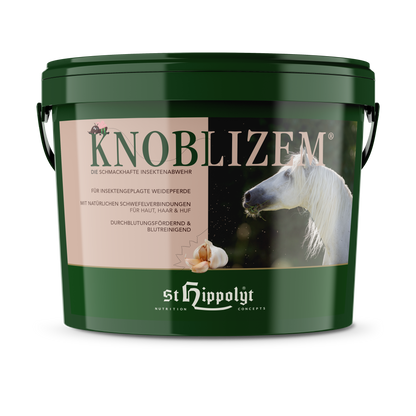 St. Hippolyt Knoblizem