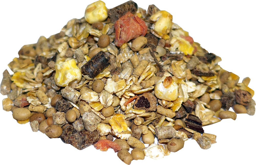 Salvana Kompakt Müsli Zucht 20 kg