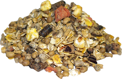 Salvana Kompakt Müsli Zucht 20 kg