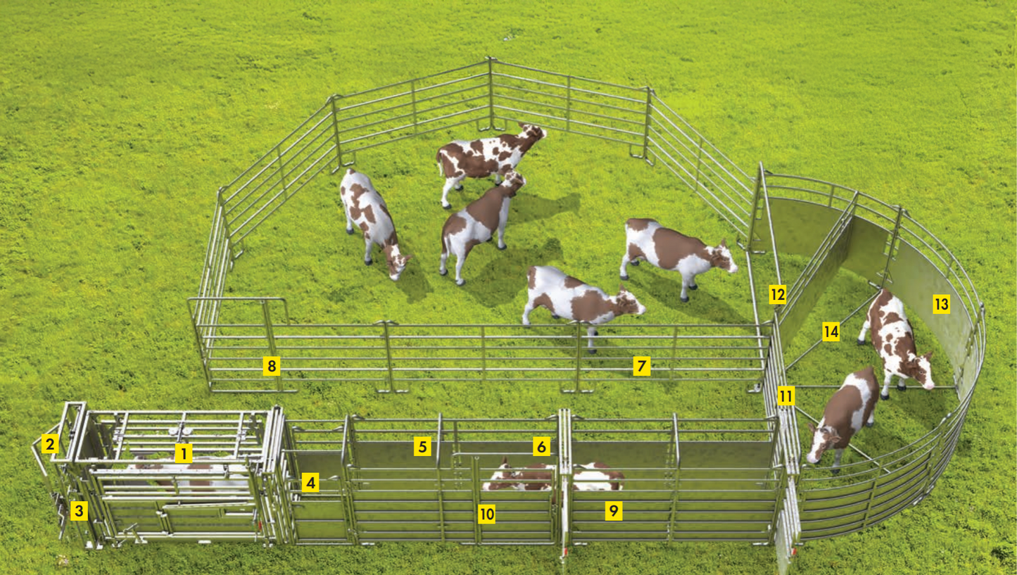 Professionelle Behandlungsanlage für mittlere bis große Tierbestände - Komplettset