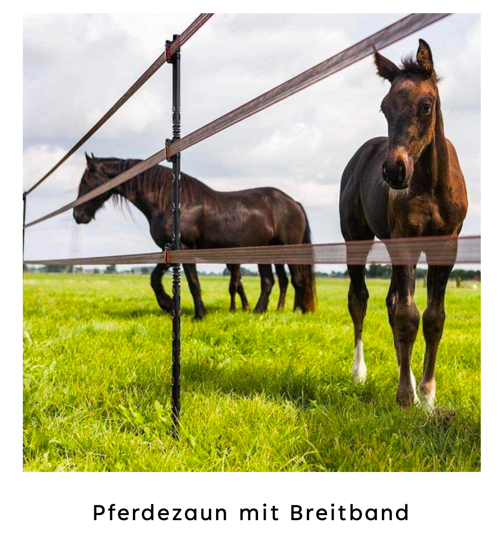 Weidezaunpfahl LinePost - anfahrbar und selbstisolierend
