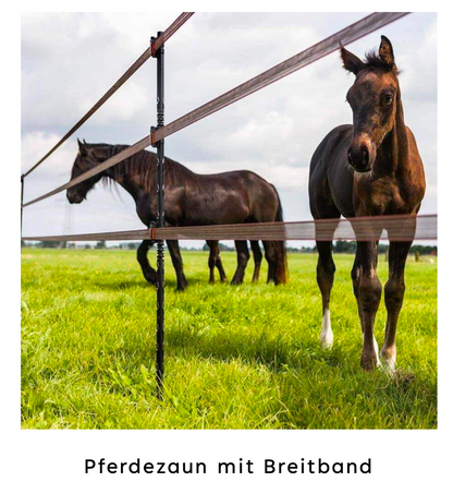 Weidezaunpfahl LinePost - anfahrbar und selbstisolierend
