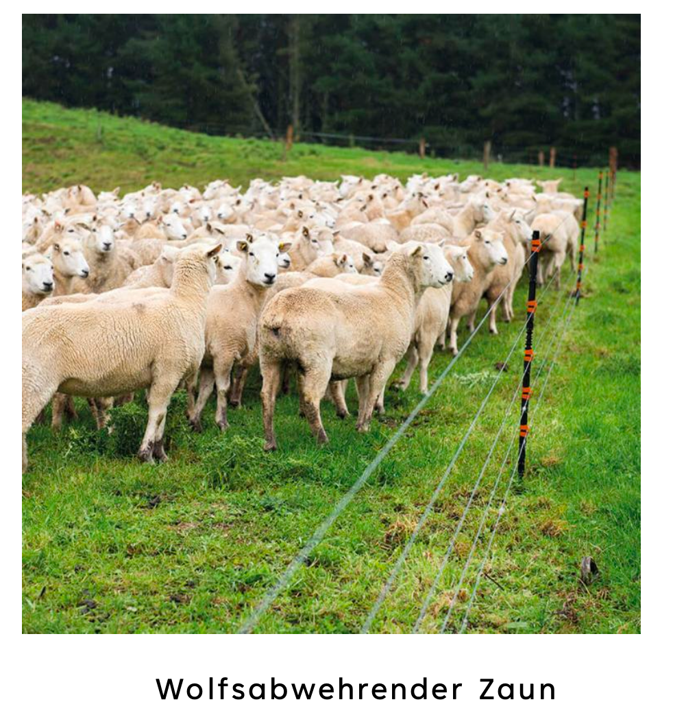 Weidezaunpfahl LinePost - anfahrbar und selbstisolierend