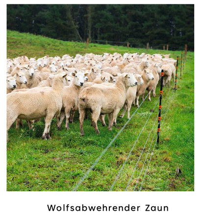 Weidezaunpfahl LinePost - anfahrbar und selbstisolierend