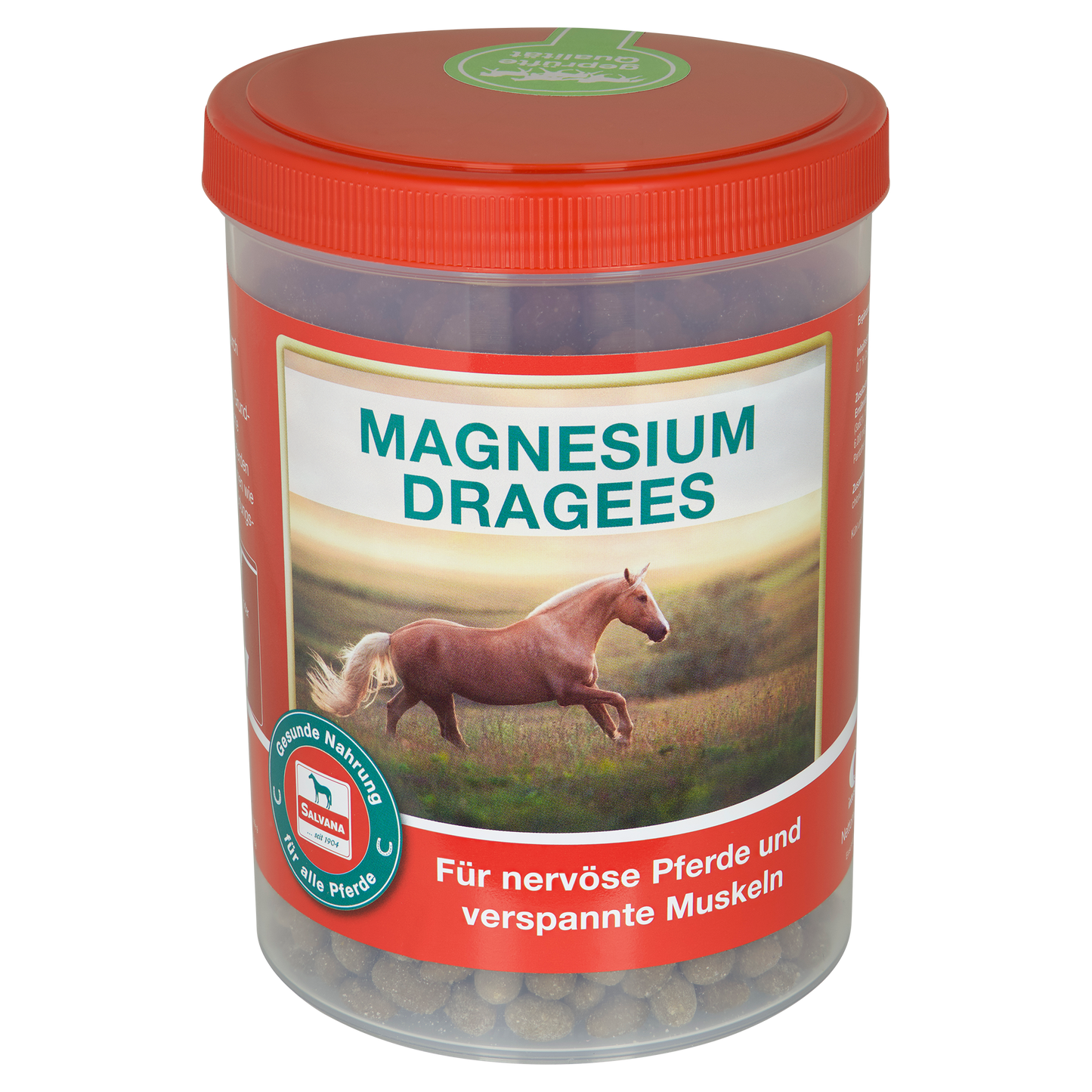 Salvana Magnesium Dragees 750 gr.