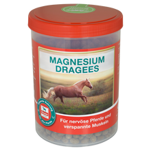 Salvana Magnesium Dragees 750 gr.