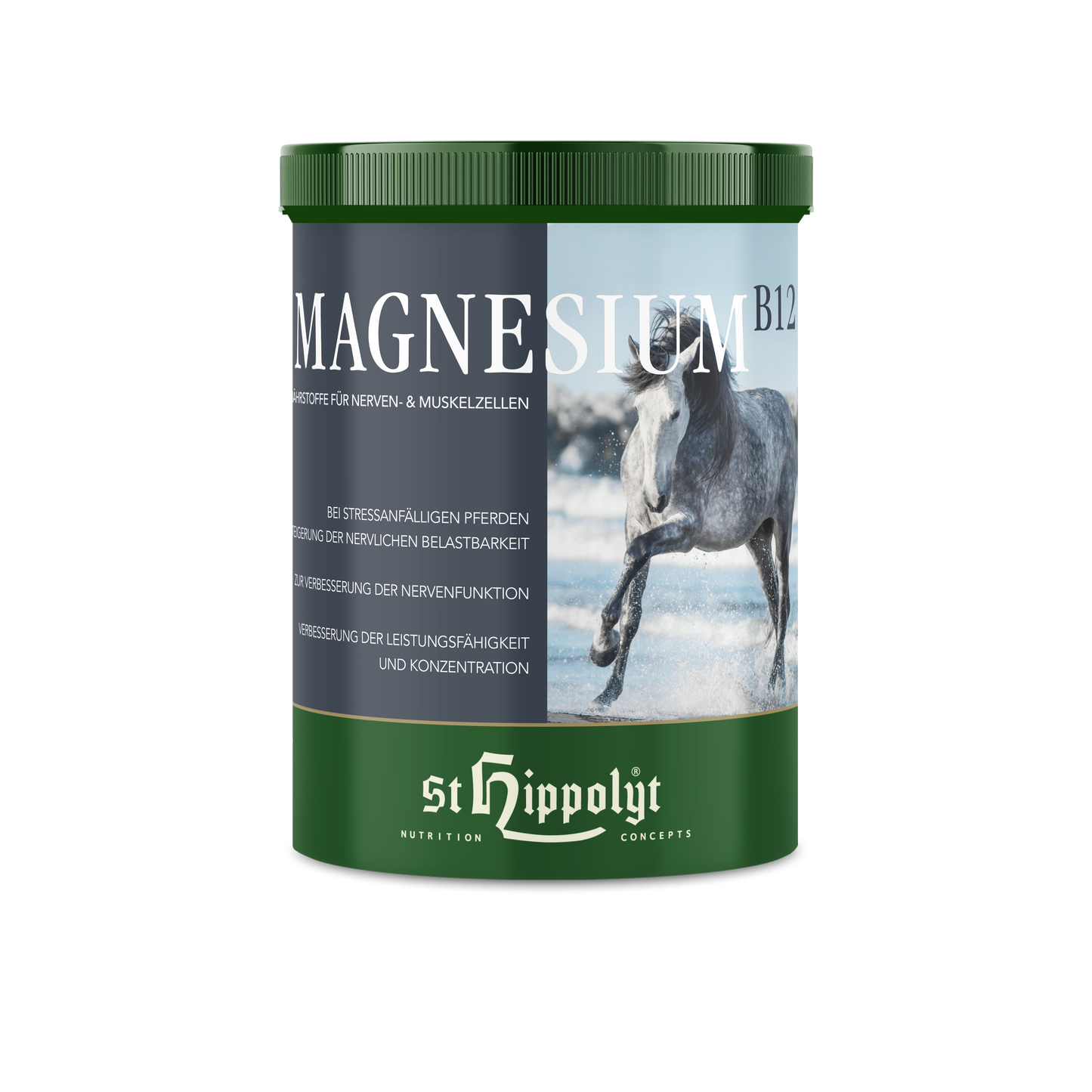 St. Hippolyt Magnesium B 12