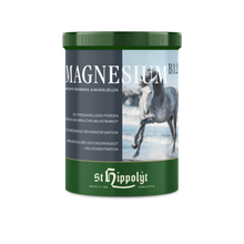 St. Hippolyt Magnesium B 12