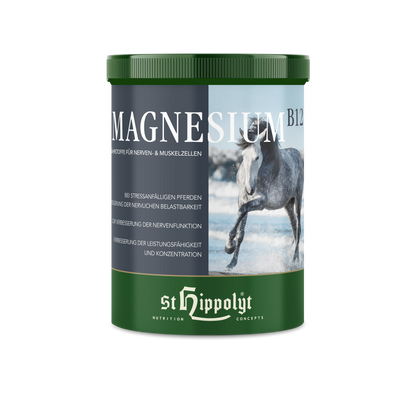 St. Hippolyt Magnesium B 12