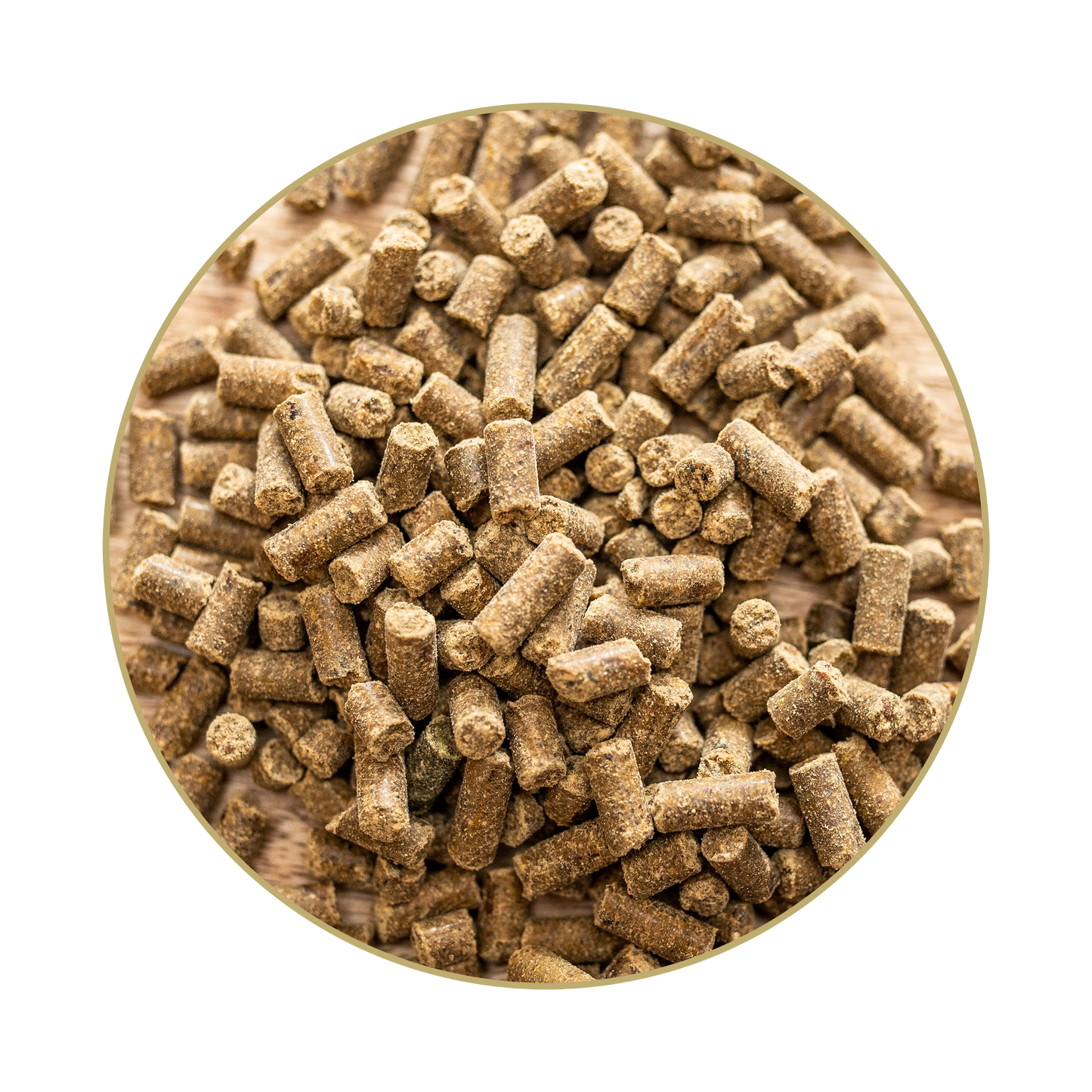 St. Hippolyt Magnesium B 12