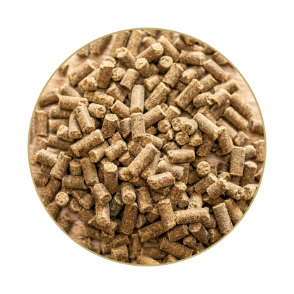 St. Hippolyt Magnesium B 12