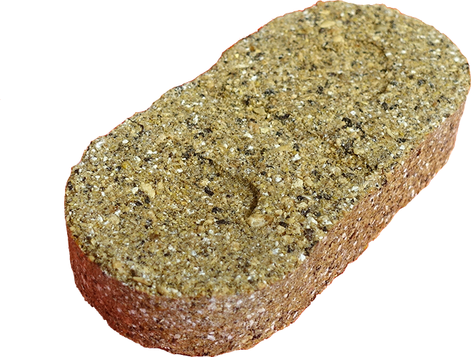 Salvana Salvastar Muskelaufbau 5 kg