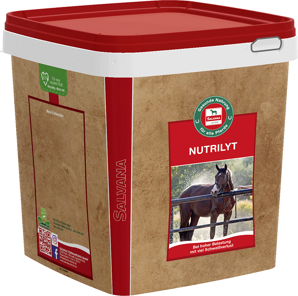 Salvana Nutrilyt 4 kg