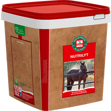Salvana Nutrilyt 4 kg