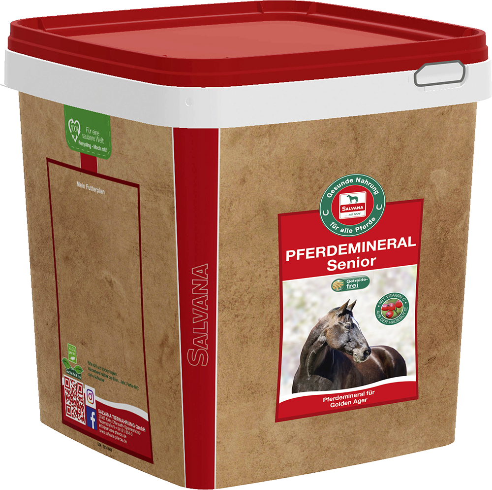 Salvana Pferdemineral Senior