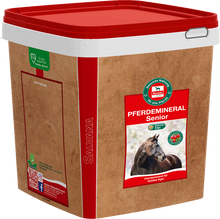 Salvana Pferdemineral Senior