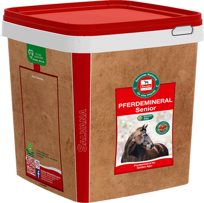 Salvana Pferdemineral Senior
