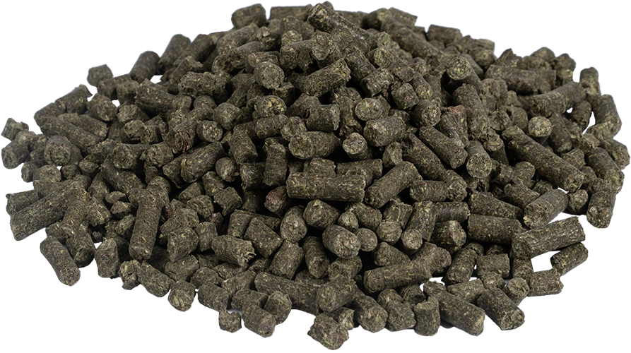 Salvana Pferdemineral Senior 8 kg