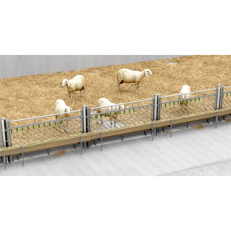 Selbstschließendes Fressgitter für Schafe