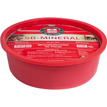 Salvana SB Mineral Weideleckschale 10 kg