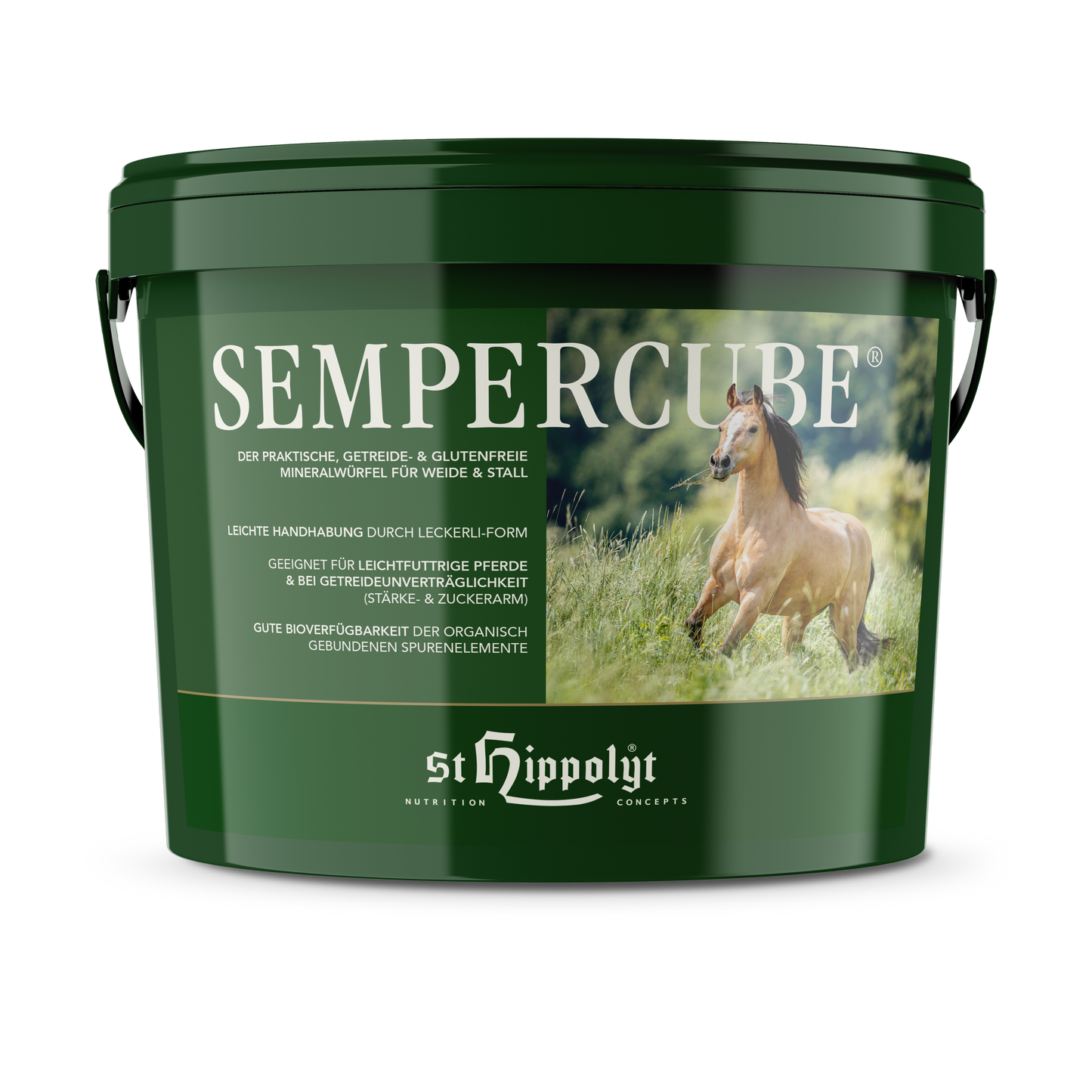 St. Hippolyt SemperCube