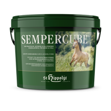 St. Hippolyt SemperCube