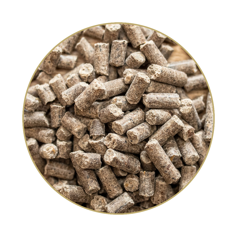 St. Hippolyt Sorbinum Calcium