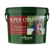 St. Hippolyt Super Condition
