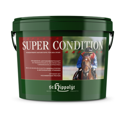 St. Hippolyt Super Condition