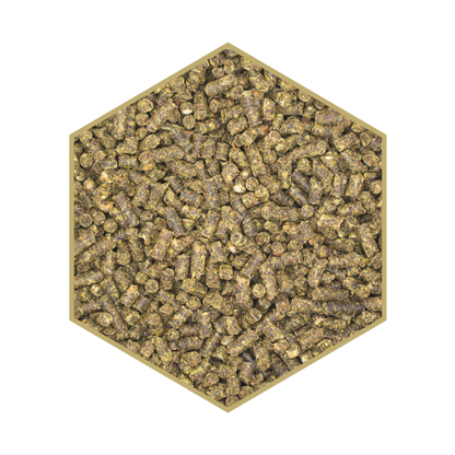St. Hippolyt WES Power Crunch Pellet 25 kg