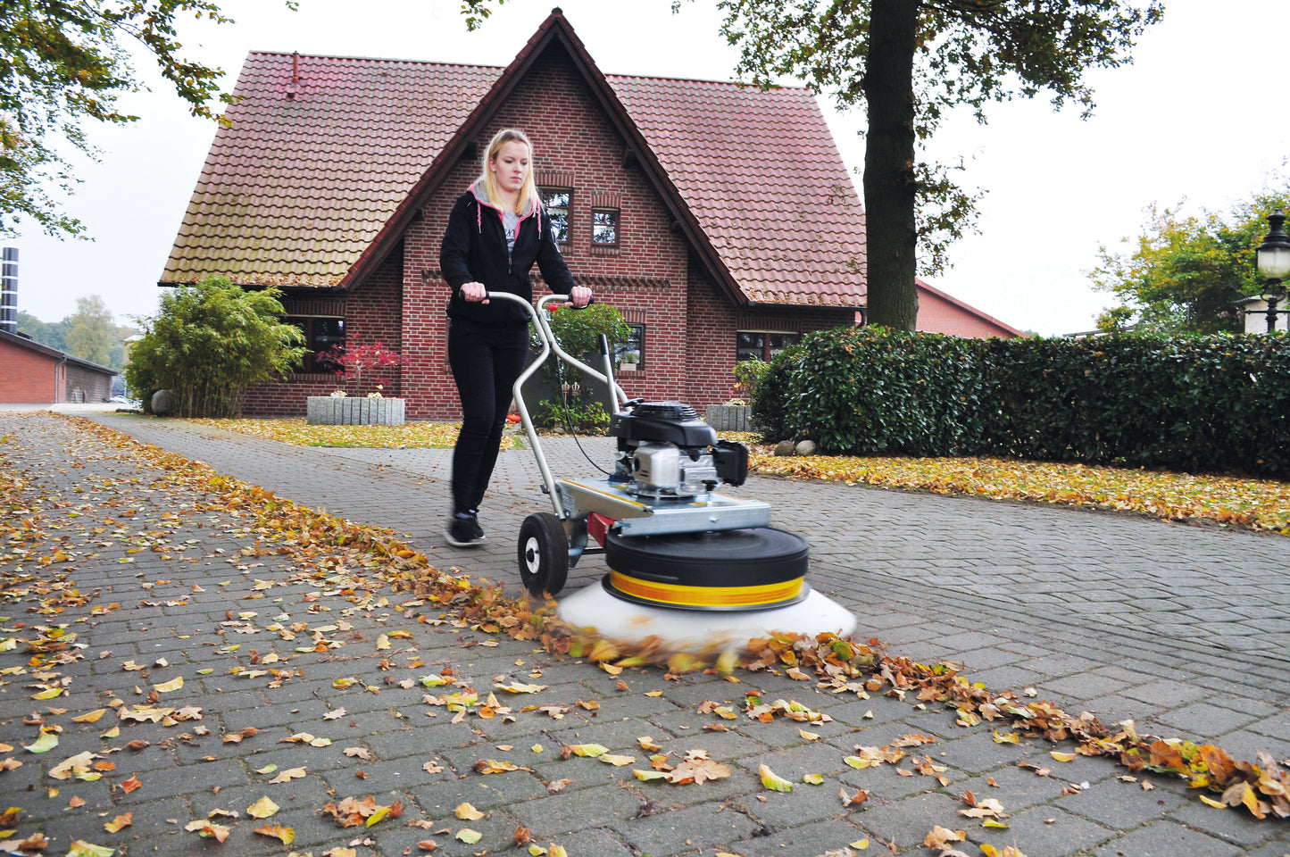 WR 870 Honda GCVx 170 OHC Technik
