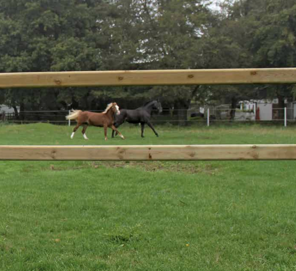 Zaunsystem Kent mit 3 Querriegeln