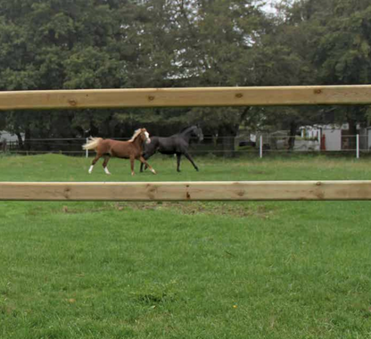 Zaunsystem Kent mit 3 Querriegeln