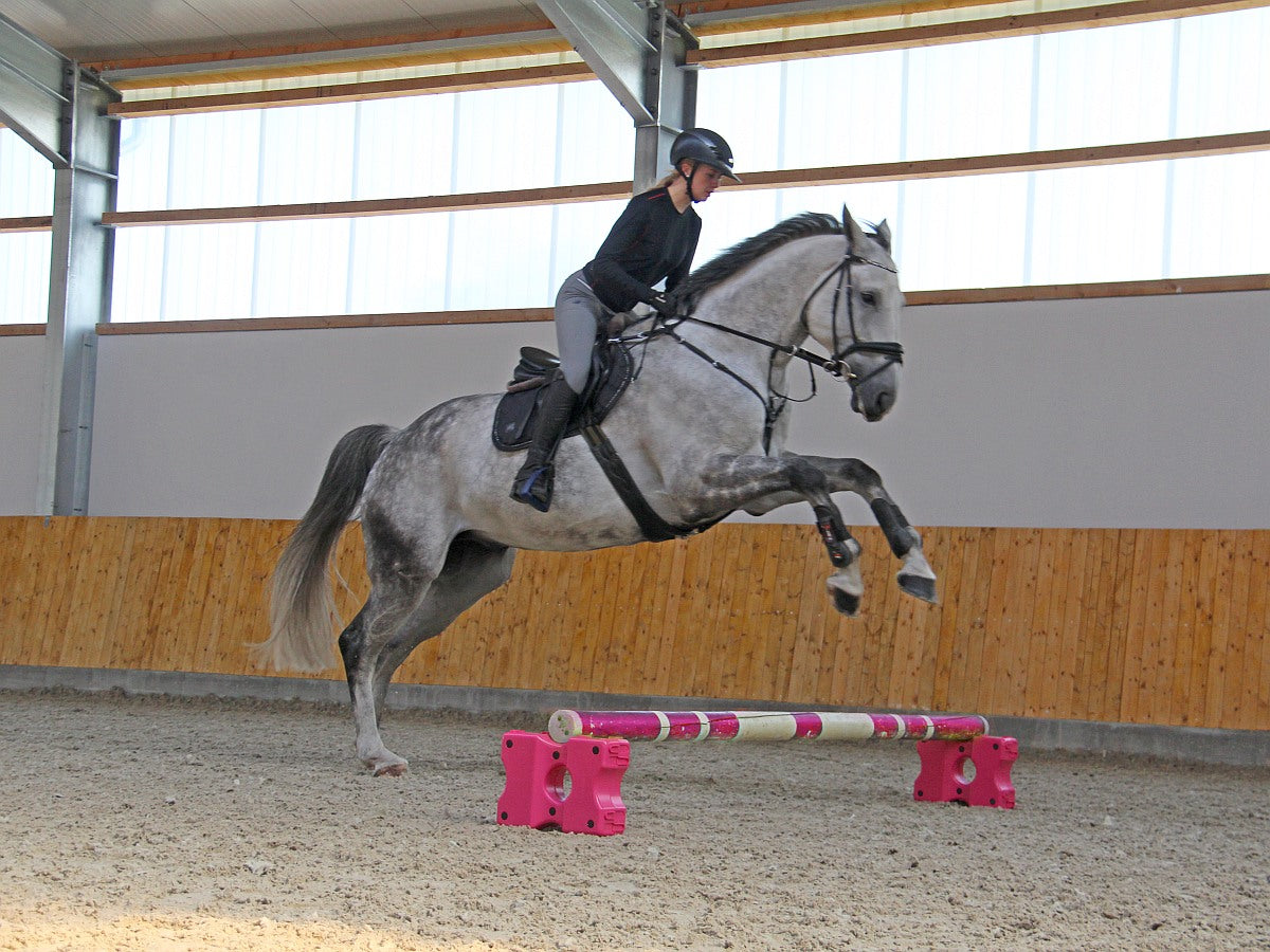 Cavaletti-Block Aaron