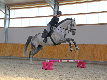 Cavaletti-Block Aaron