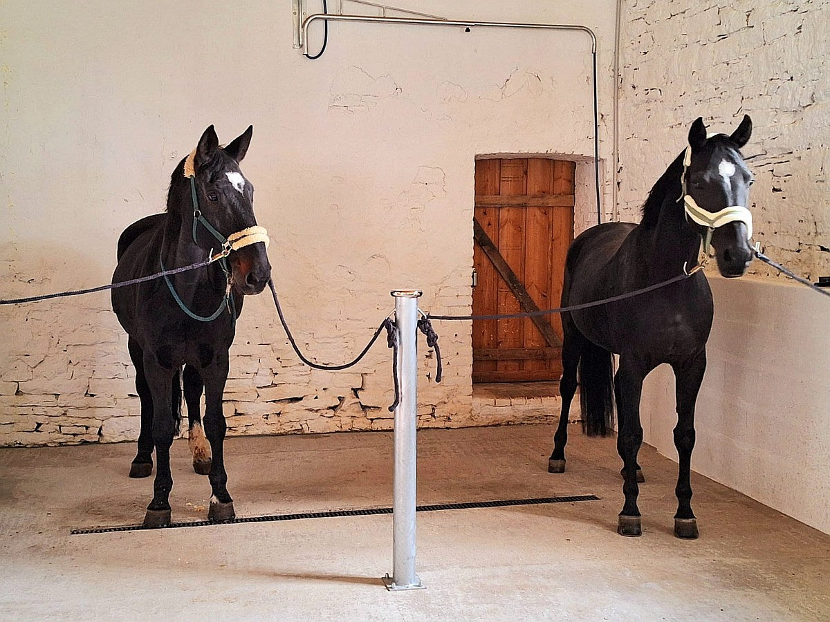 Anbindepfosten 170 cm Länge