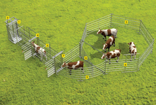 Behandlungsanlage für kleinere Tierbestände - Komplettset