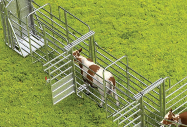 Professionelle Behandlungsanlage für mittlere bis große Tierbestände - Komplettset