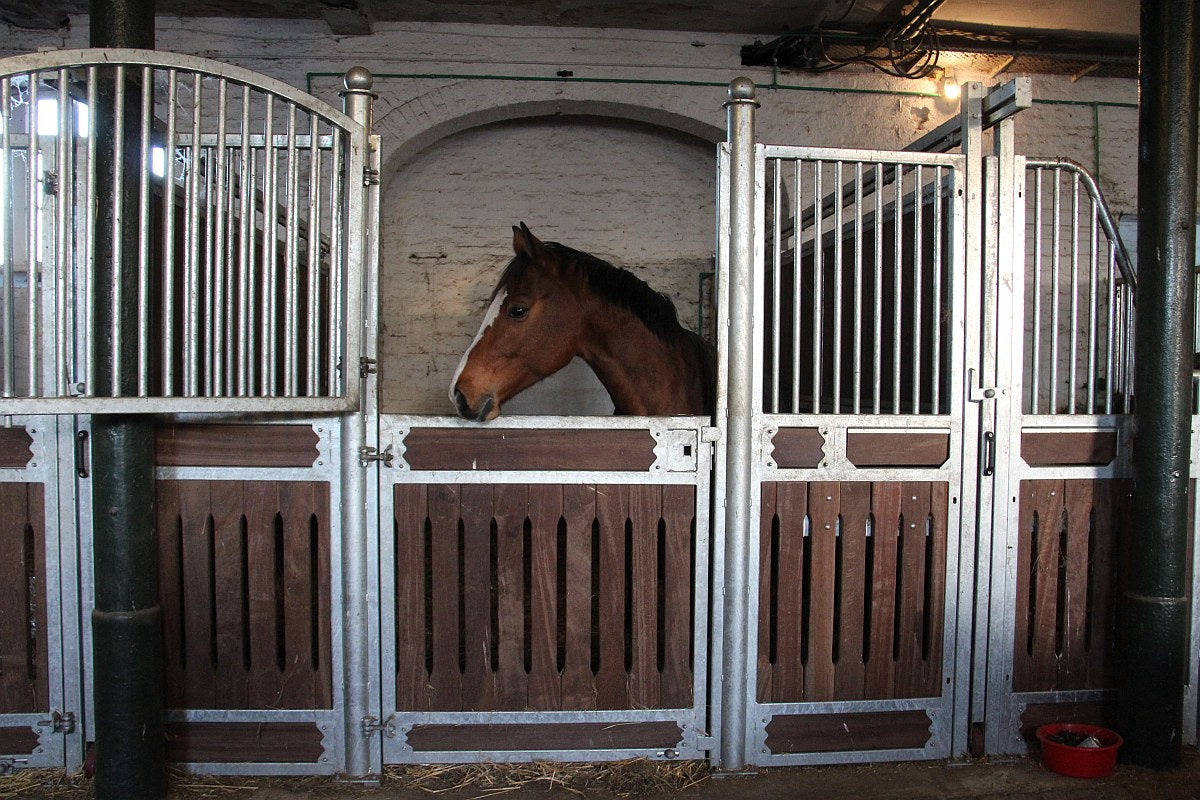 Frontwand Belamie Exklusiv