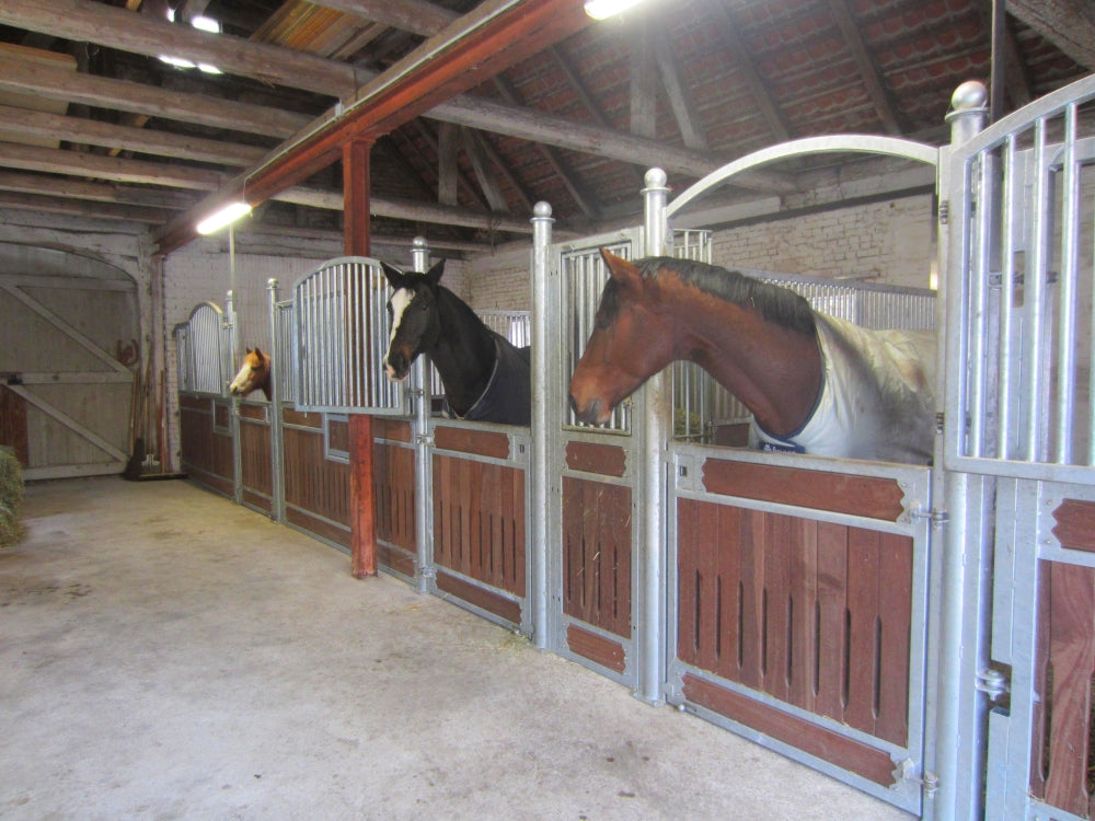 Frontwand Belamie Exklusiv