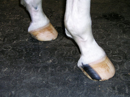 Kraiburg Belmondo® Boxenmatte Basic