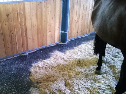 Kraiburg Belmondo® Boxenmatte Basic