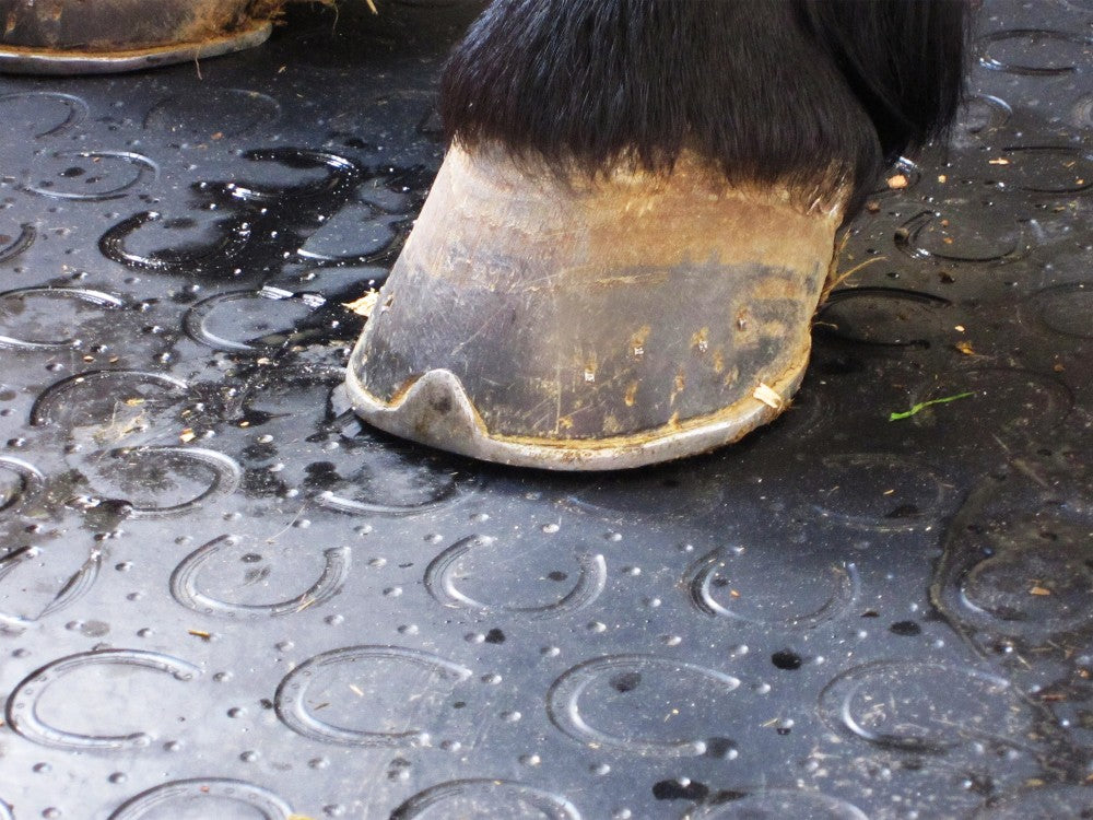 Kraiburg Belmondo® Boxenmatte Classic